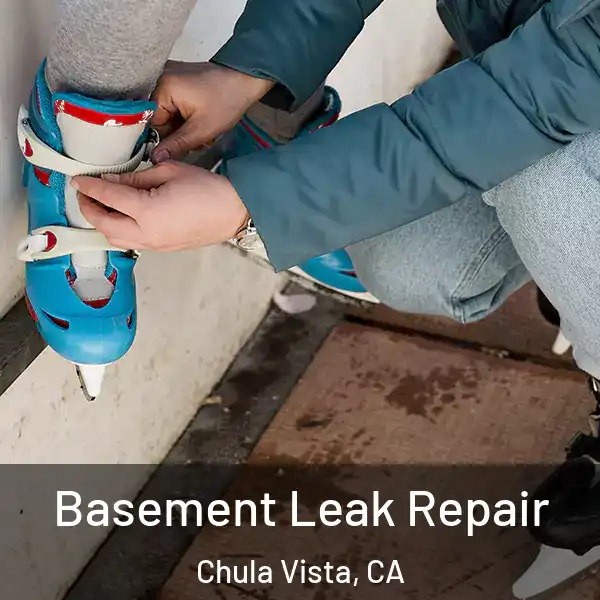  Basement Leak Repair Chula Vista, CA